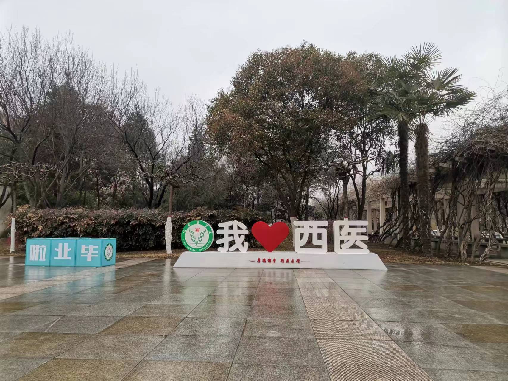 西安醫(yī)學(xué)院實(shí)際應(yīng)用案例